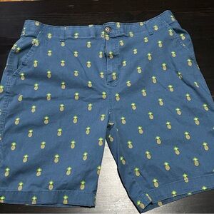 Plugg Flex Pineapple 38” Waist